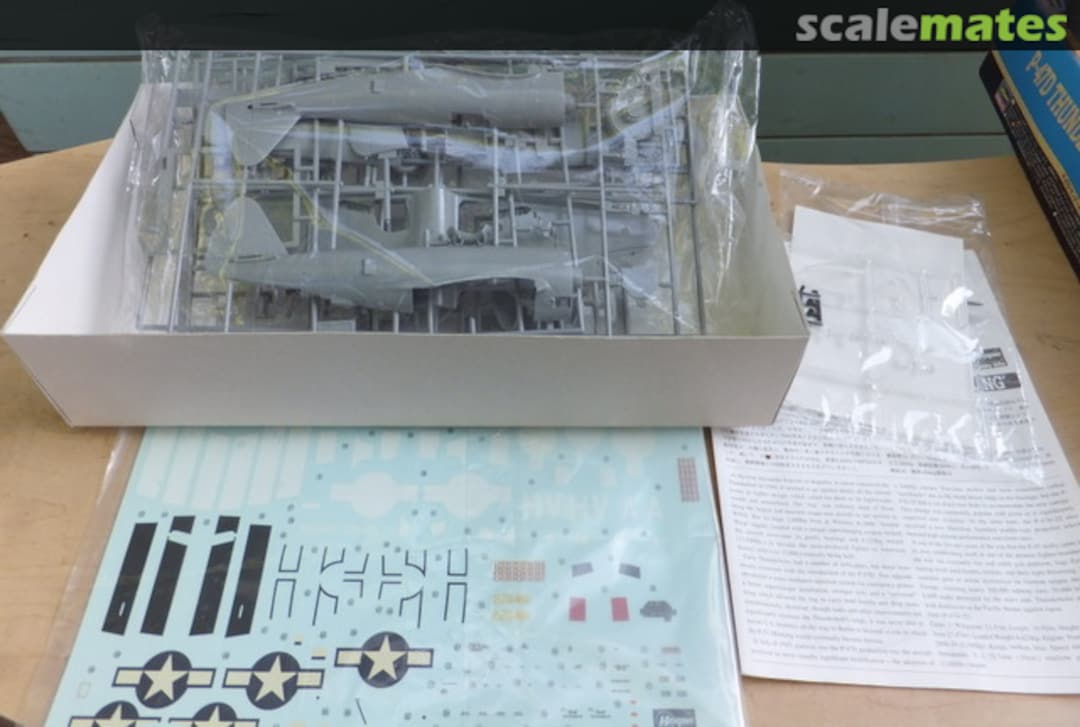 View album, image #1 View album, image #1