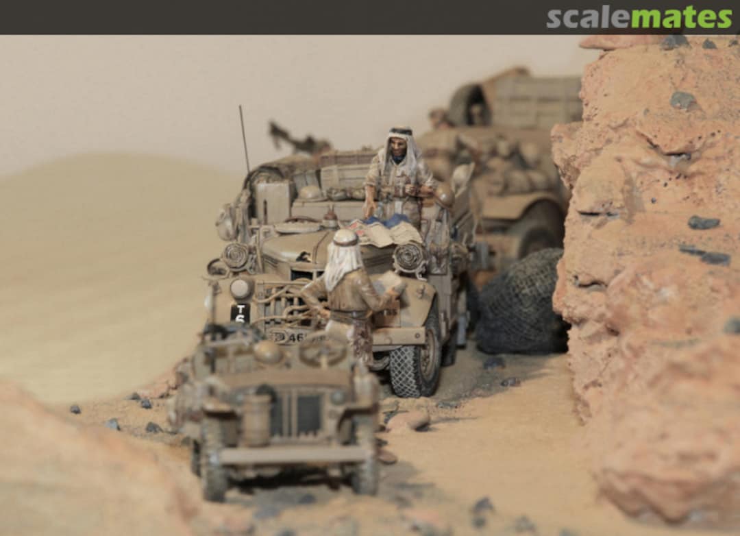 View album, image #1 View album, image #1