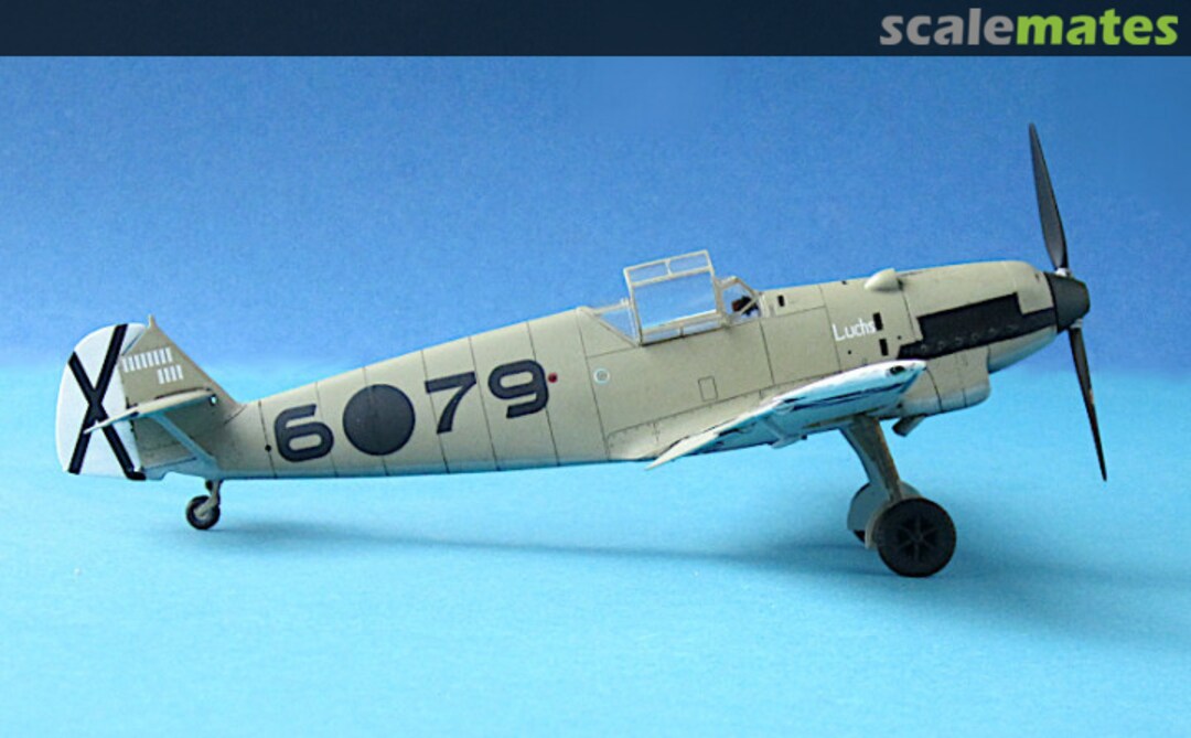 View album, image #21 View album, image #21