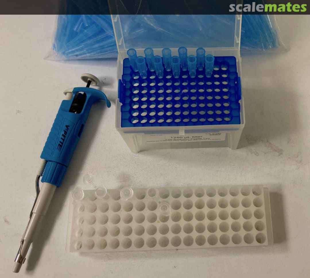 View album, image #1