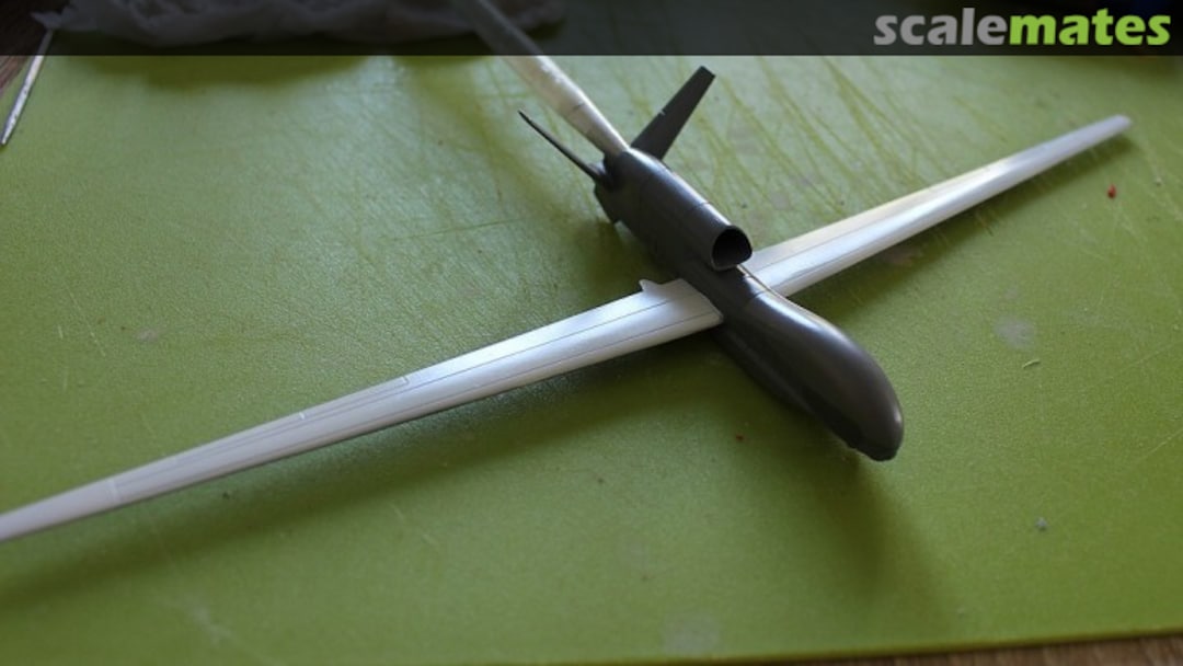 View album, image #8 View album, image #8