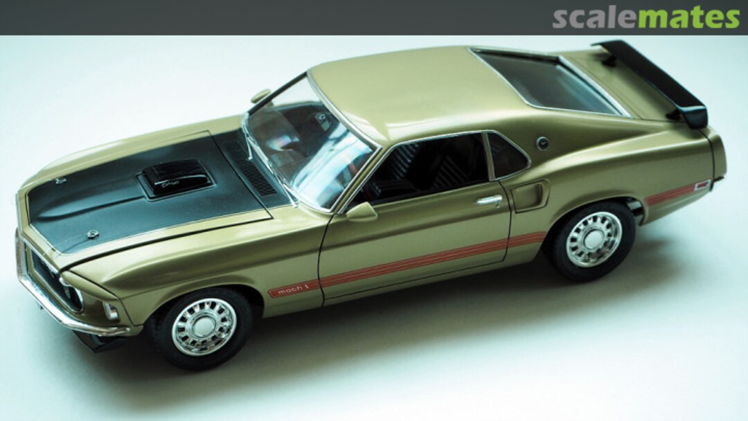 View album, image #1 View album, image #1