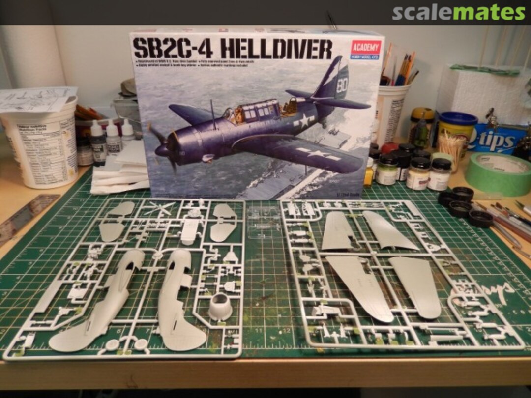 View album, image #1 View album, image #1