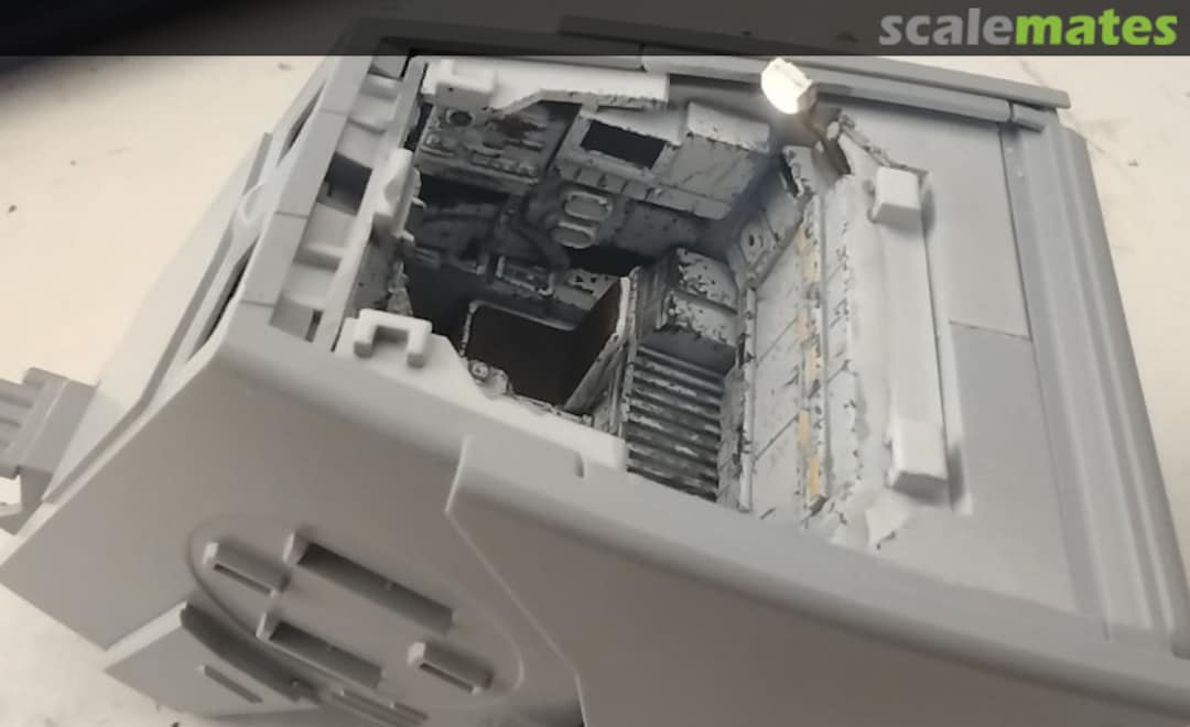 View album, image #1 View album, image #1