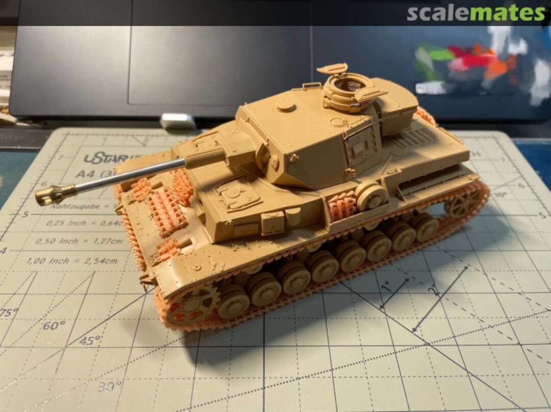 View album, image #1 View album, image #1