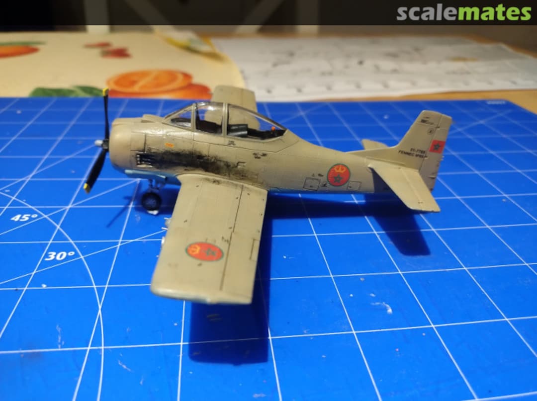 View album, image #29 View album, image #29