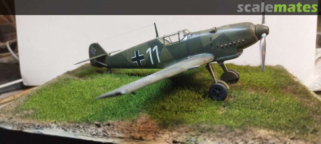 View album, image #14 View album, image #14