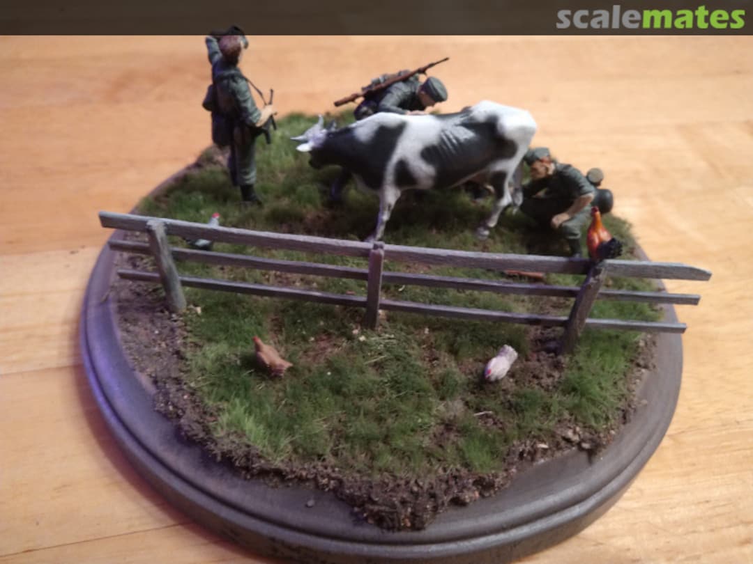 View album, image #1 View album, image #1