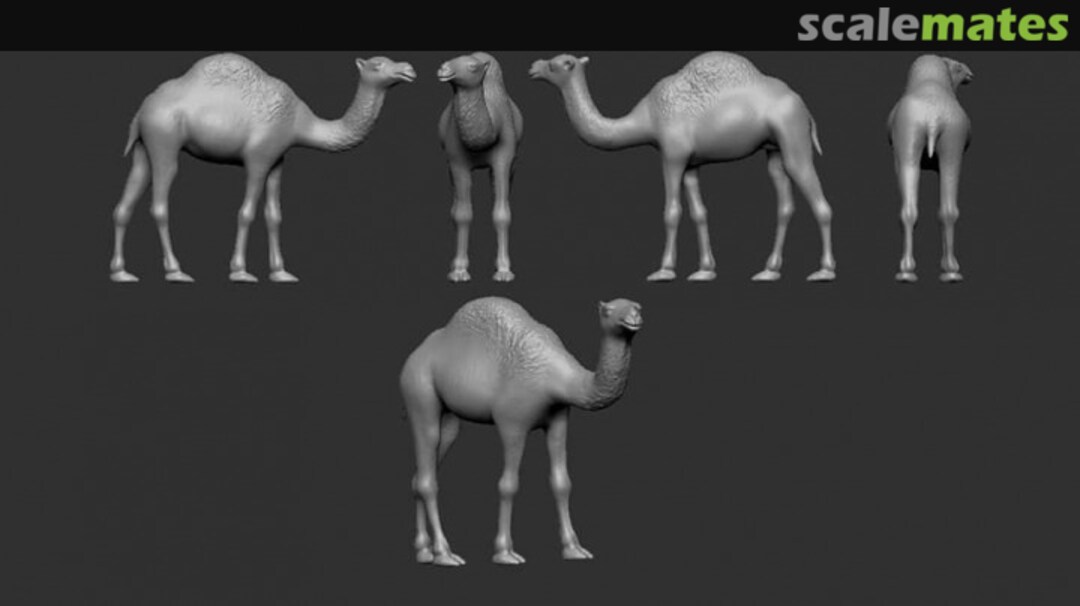 View album, image #1 View album, image #1