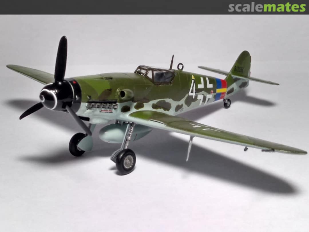 View album, image #4 View album, image #4