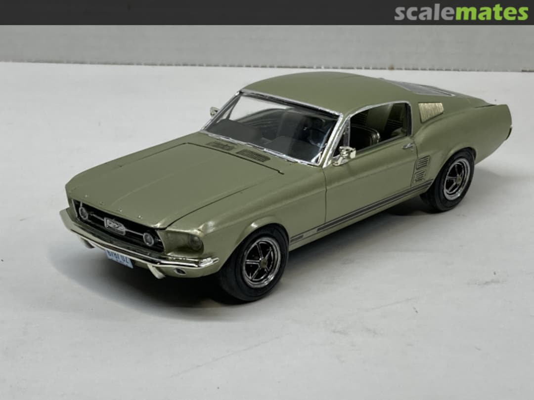 View album, image #9 View album, image #9