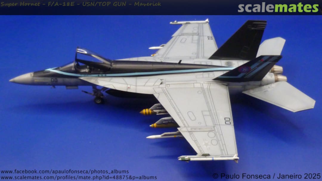 View album, image #100 View album, image #100