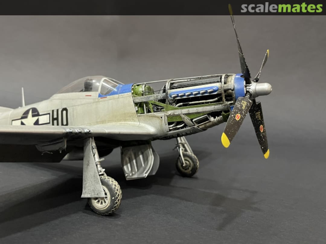 View album, image #1