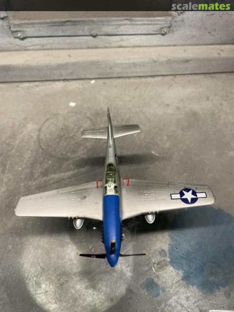 View album, image #1