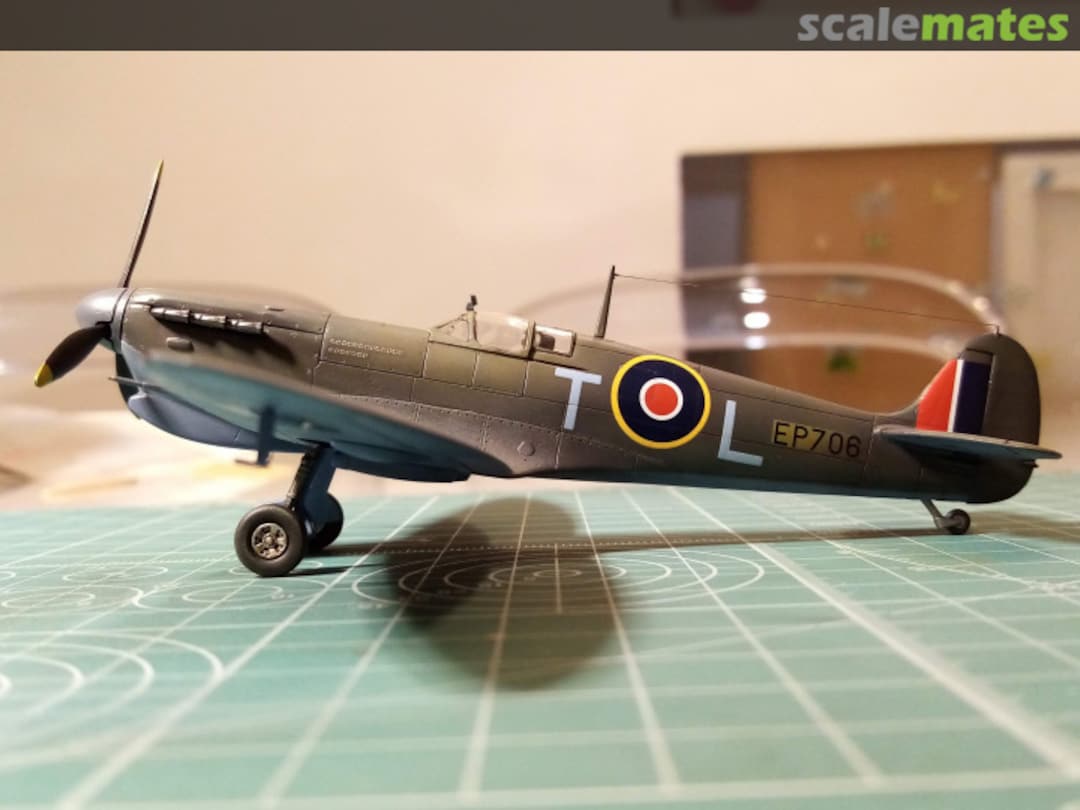 View album, image #5 View album, image #5