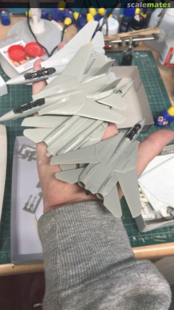 View album, image #1 View album, image #1