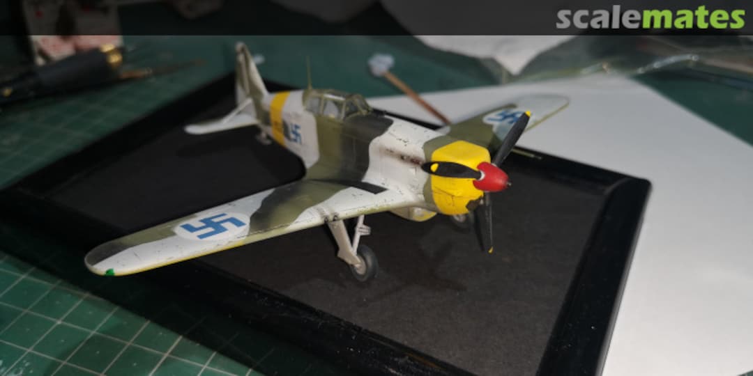 View album, image #1 View album, image #1