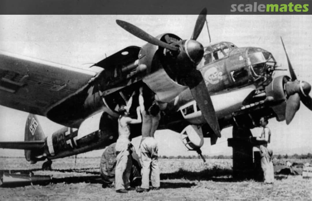 View album, image #1 View album, image #1