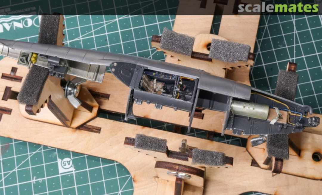 View album, image #7 View album, image #7