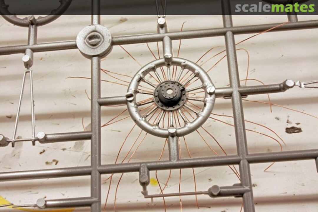 View album, image #1