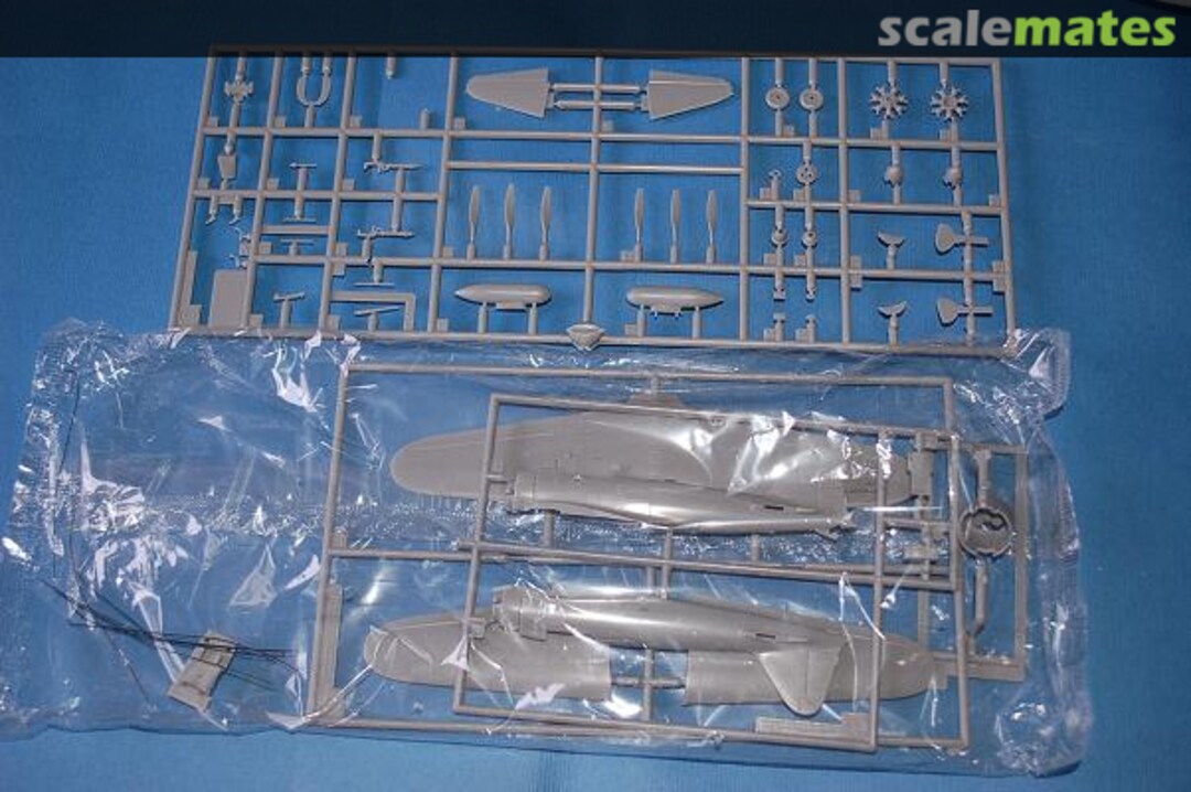 View album, image #1 View album, image #1