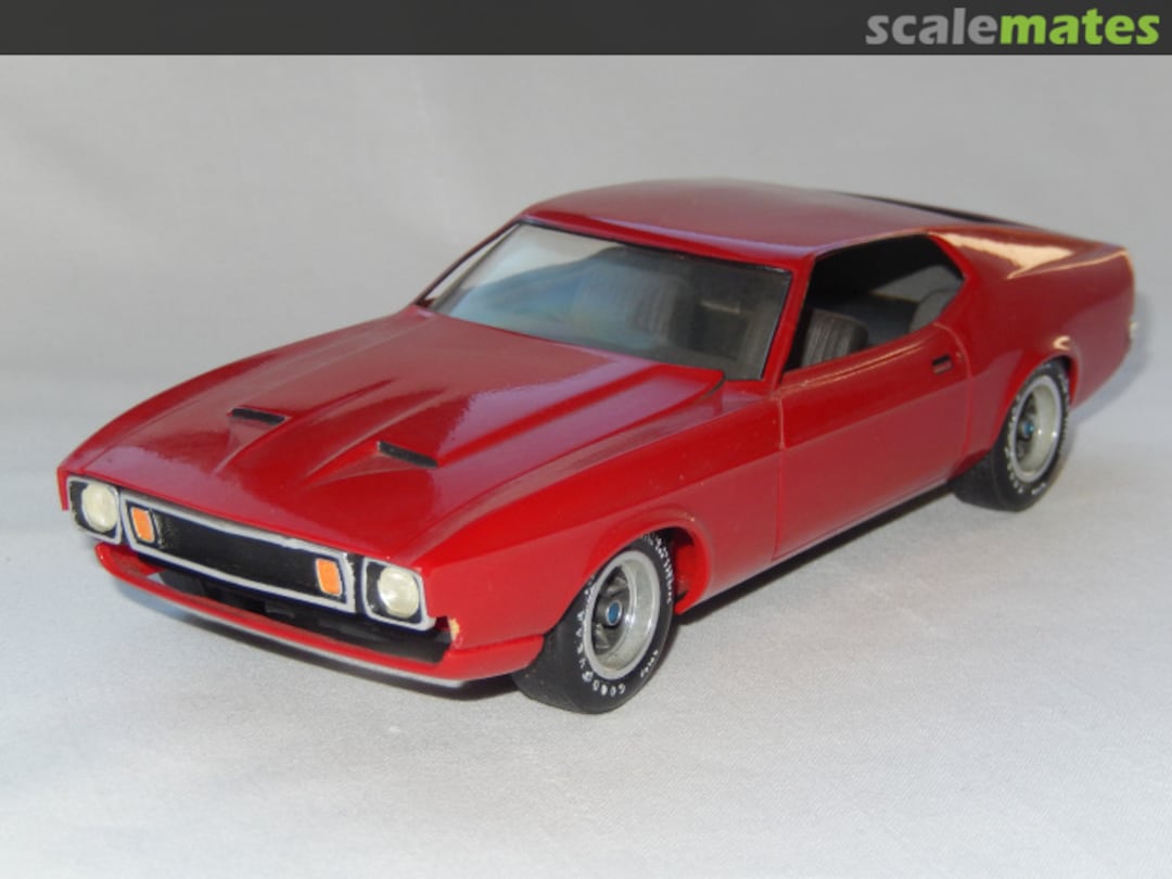 View album, image #11 View album, image #11