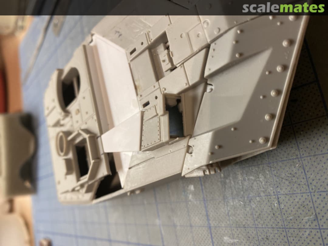 View album, image #1 View album, image #1