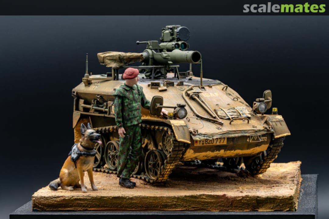 View album, image #1 View album, image #1