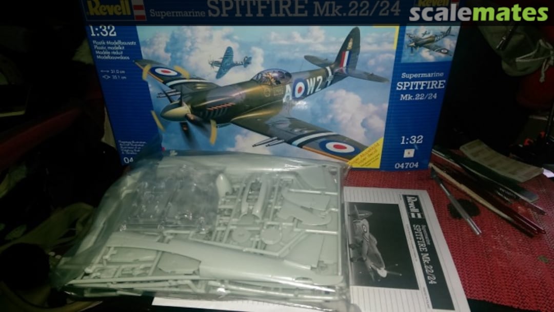 View album, image #1 View album, image #1