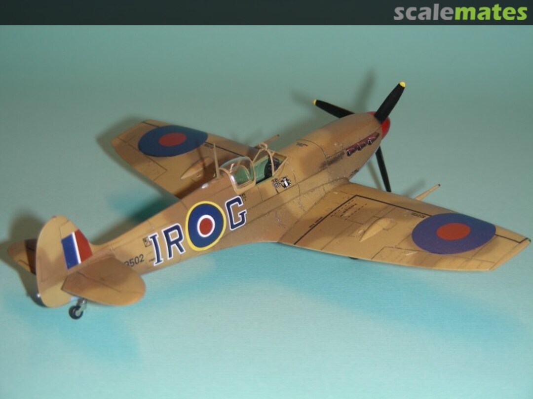 View album, image #1 View album, image #1