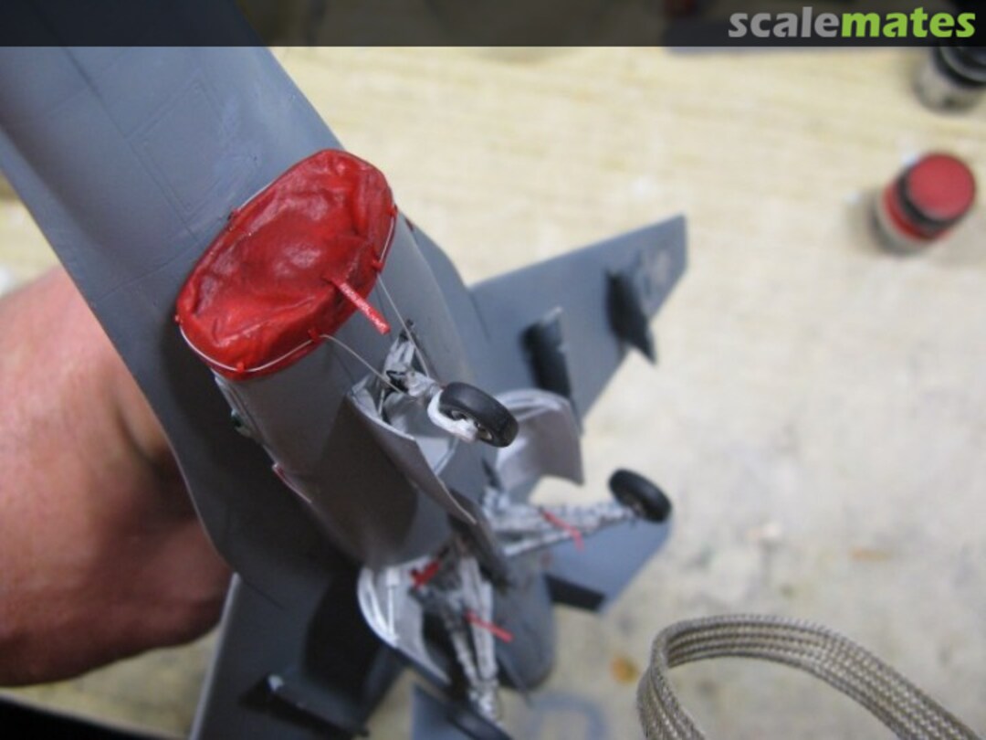 View album, image #1