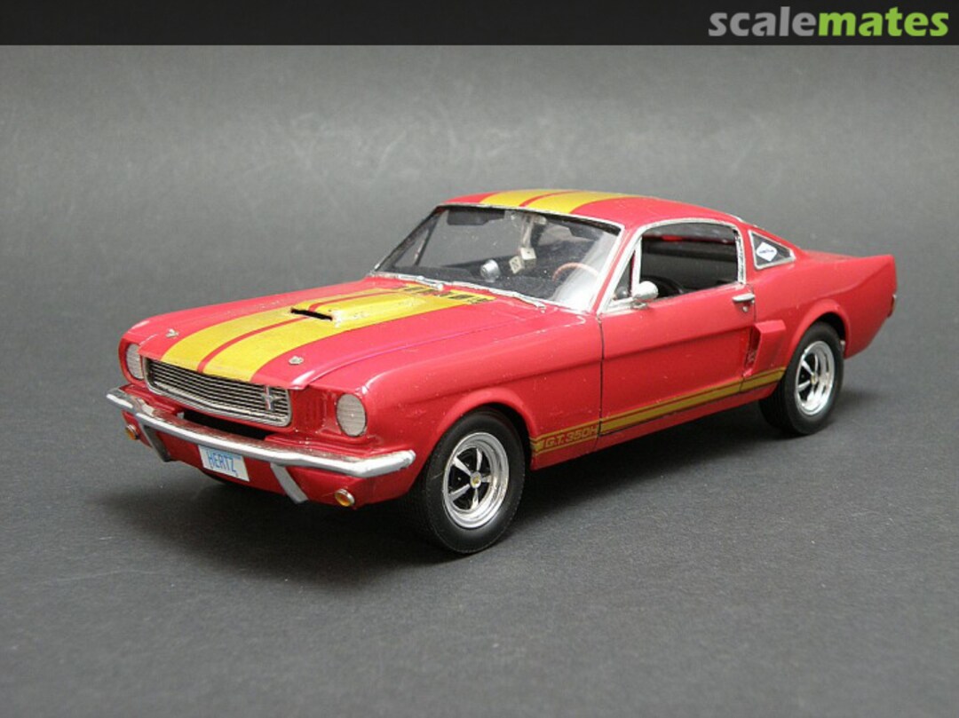 View album, image #1