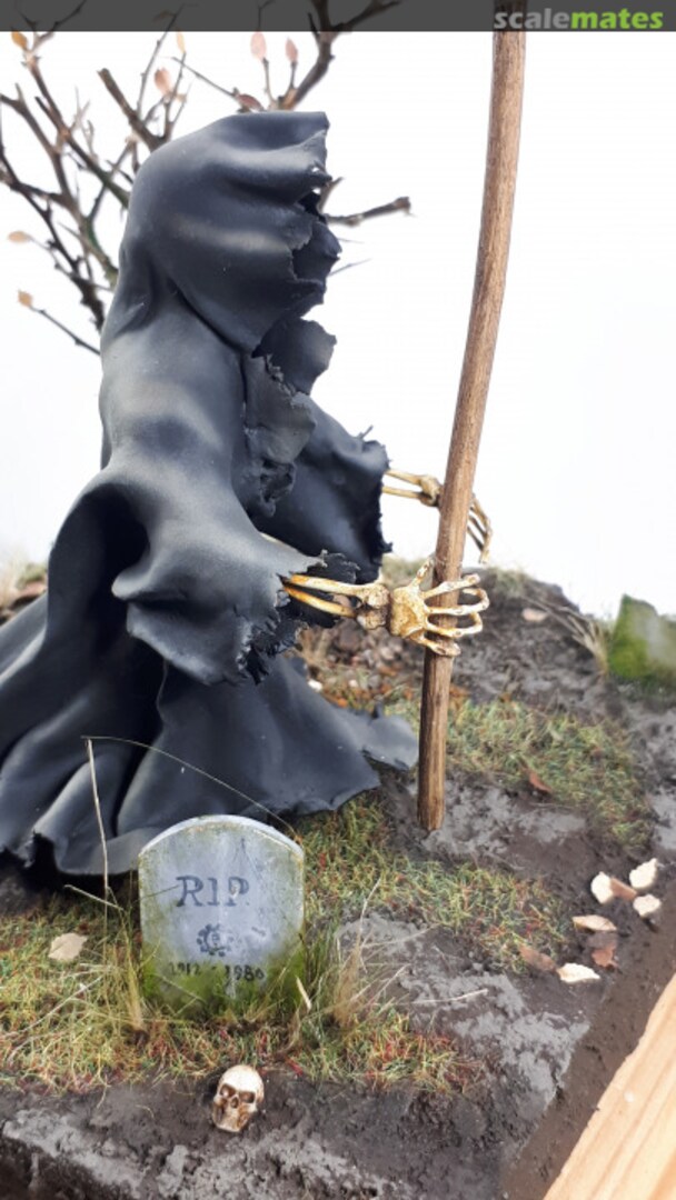 View album, image #9 View album, image #9