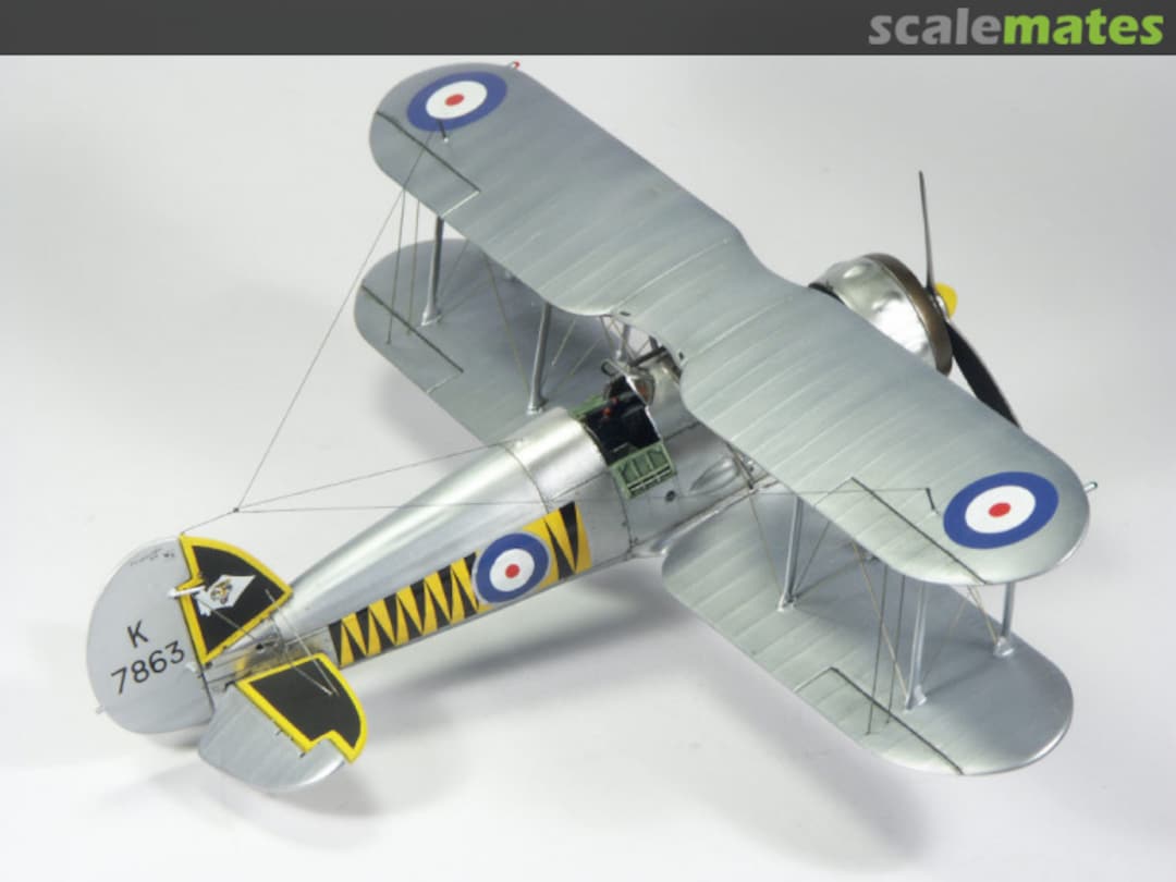 View album, image #48 View album, image #48