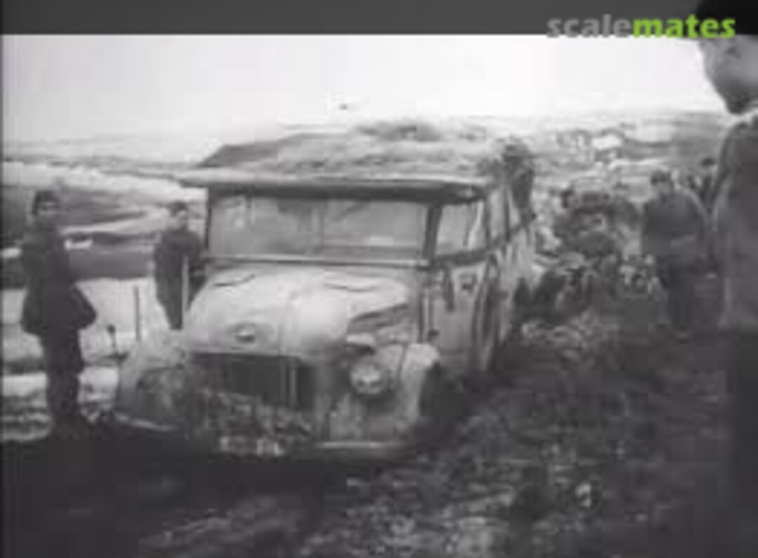 View album, image #1 View album, image #1