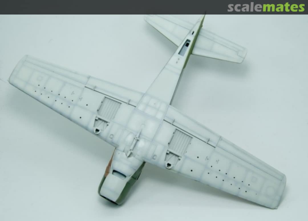 View album, image #1