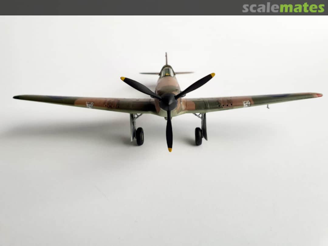 View album, image #2