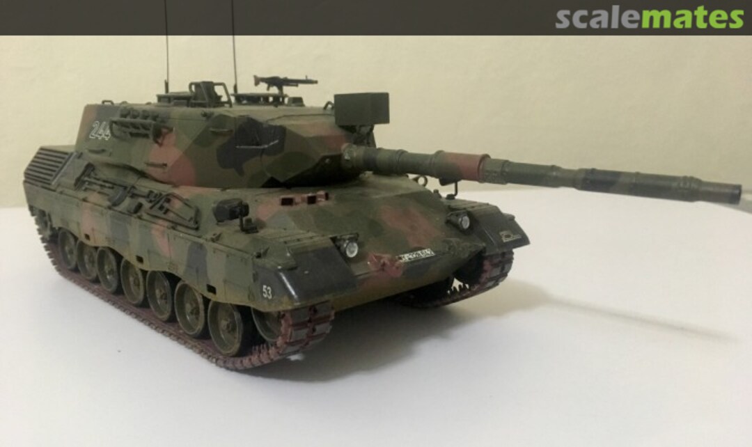 View album, image #1 View album, image #1