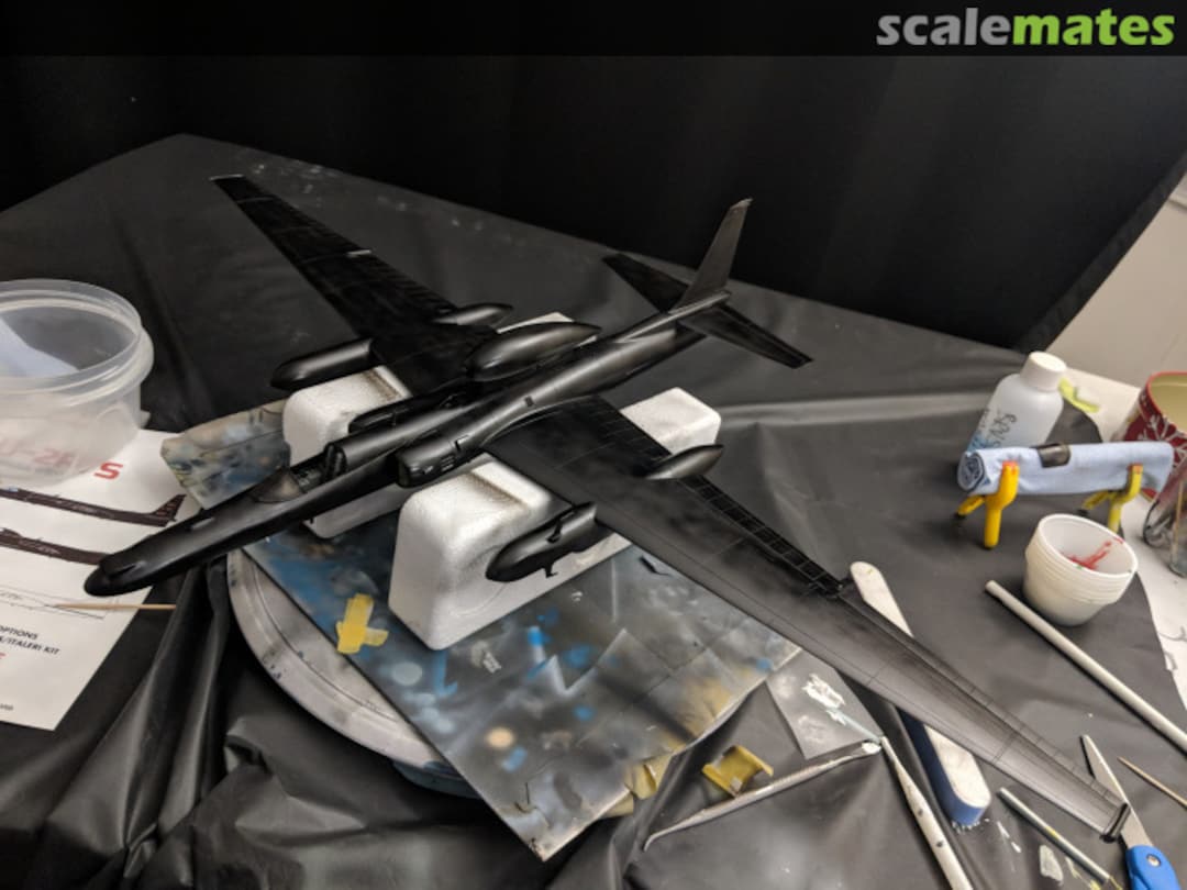 View album, image #12 View album, image #12