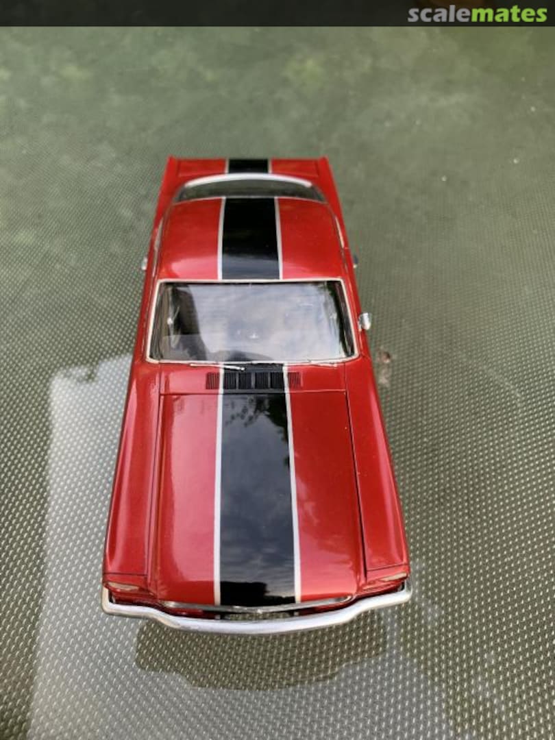 View album, image #1 View album, image #1