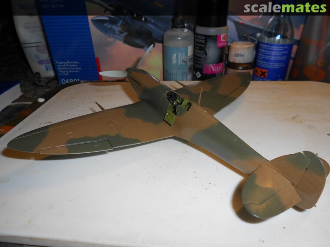 View album, image #1