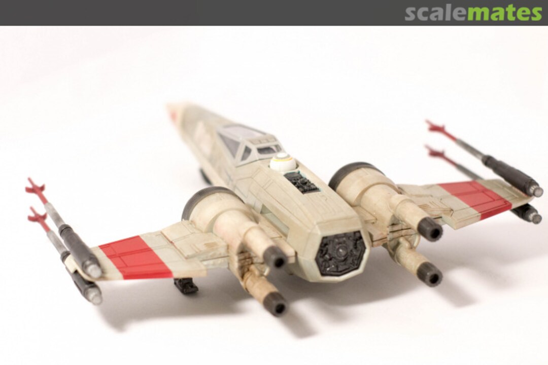 View album, image #1 View album, image #1