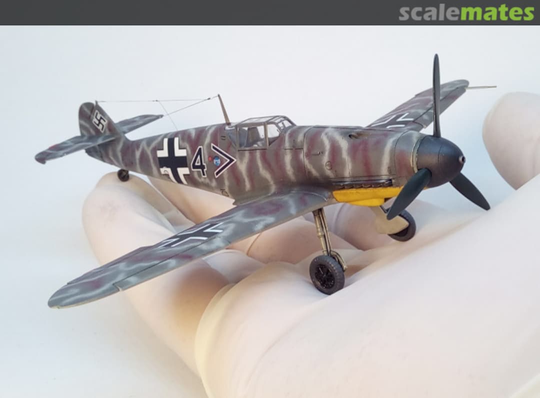 View album, image #8