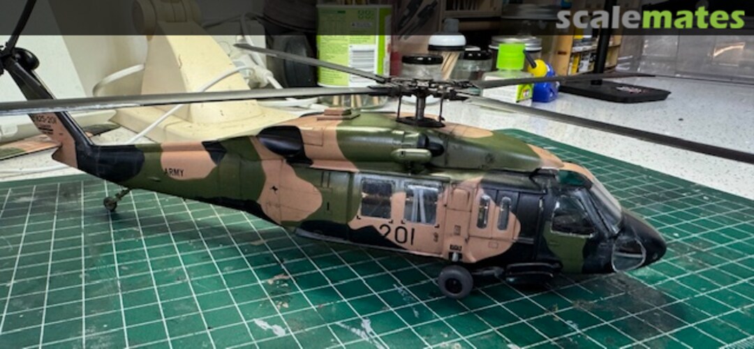 View album, image #17 View album, image #17