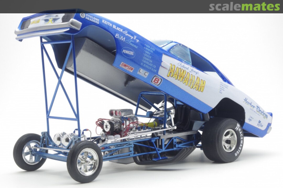 View album, image #1 View album, image #1