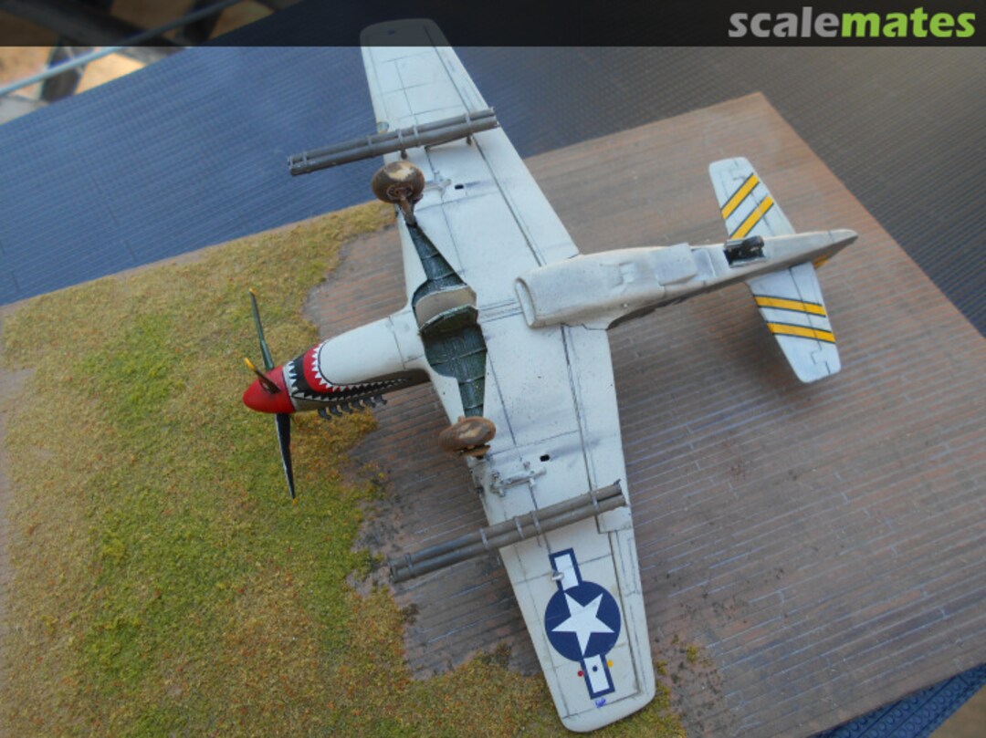 View album, image #1 View album, image #1