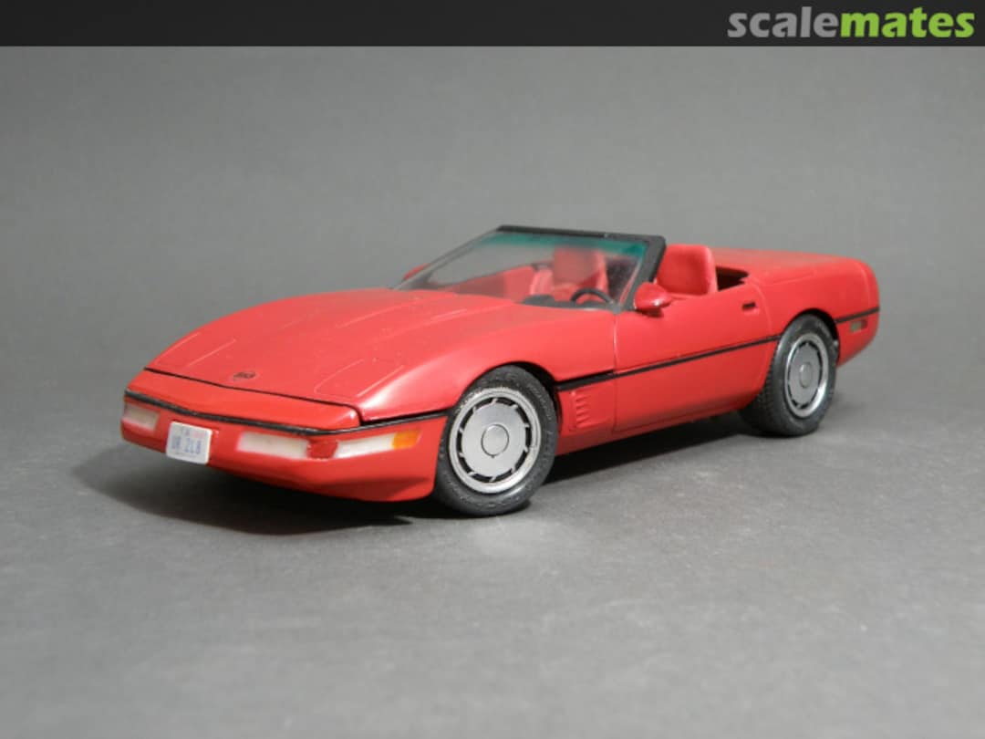 View album, image #6 View album, image #6