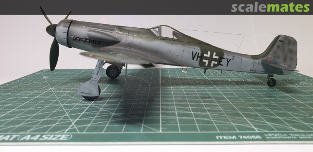 View album, image #28 View album, image #28