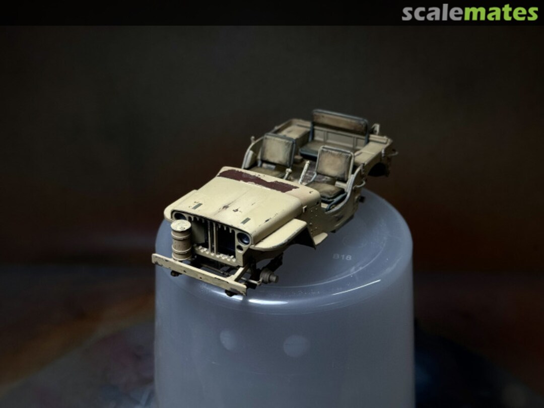 View album, image #1 View album, image #1