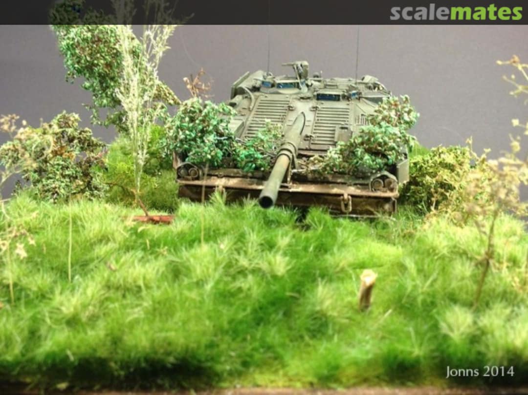 View album, image #24 View album, image #24